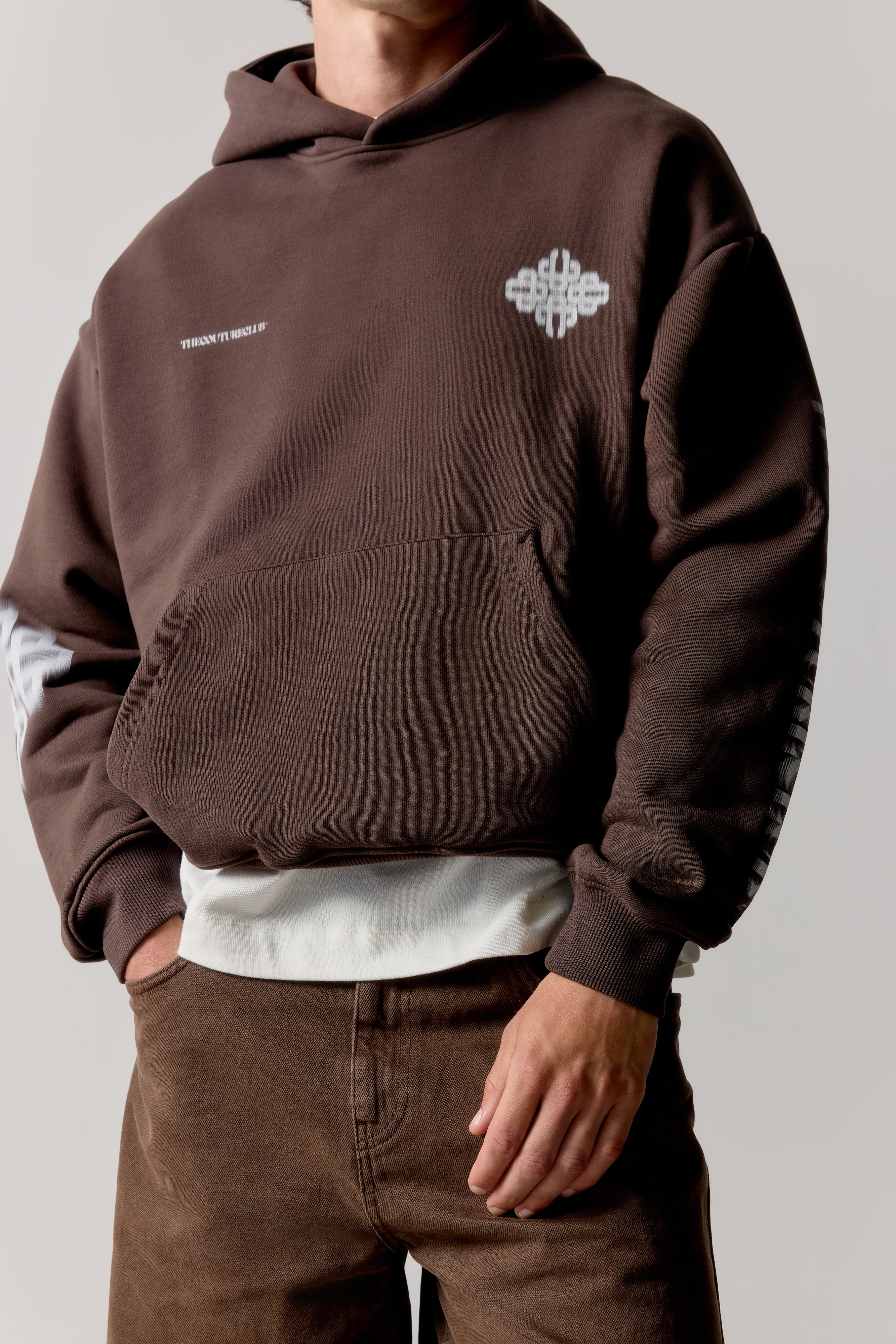 MOTION BLURRED EMBLEM HOODIE - BROWN