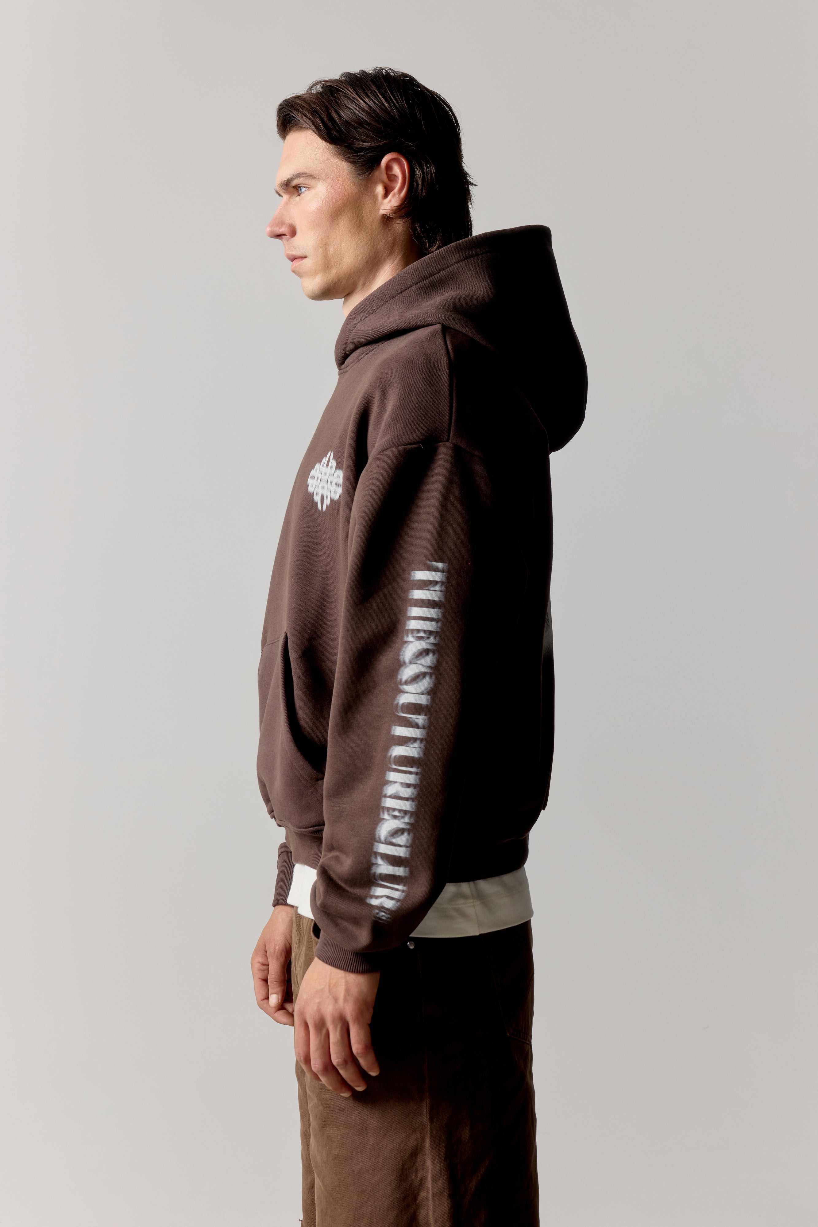 MOTION BLURRED EMBLEM HOODIE - BROWN