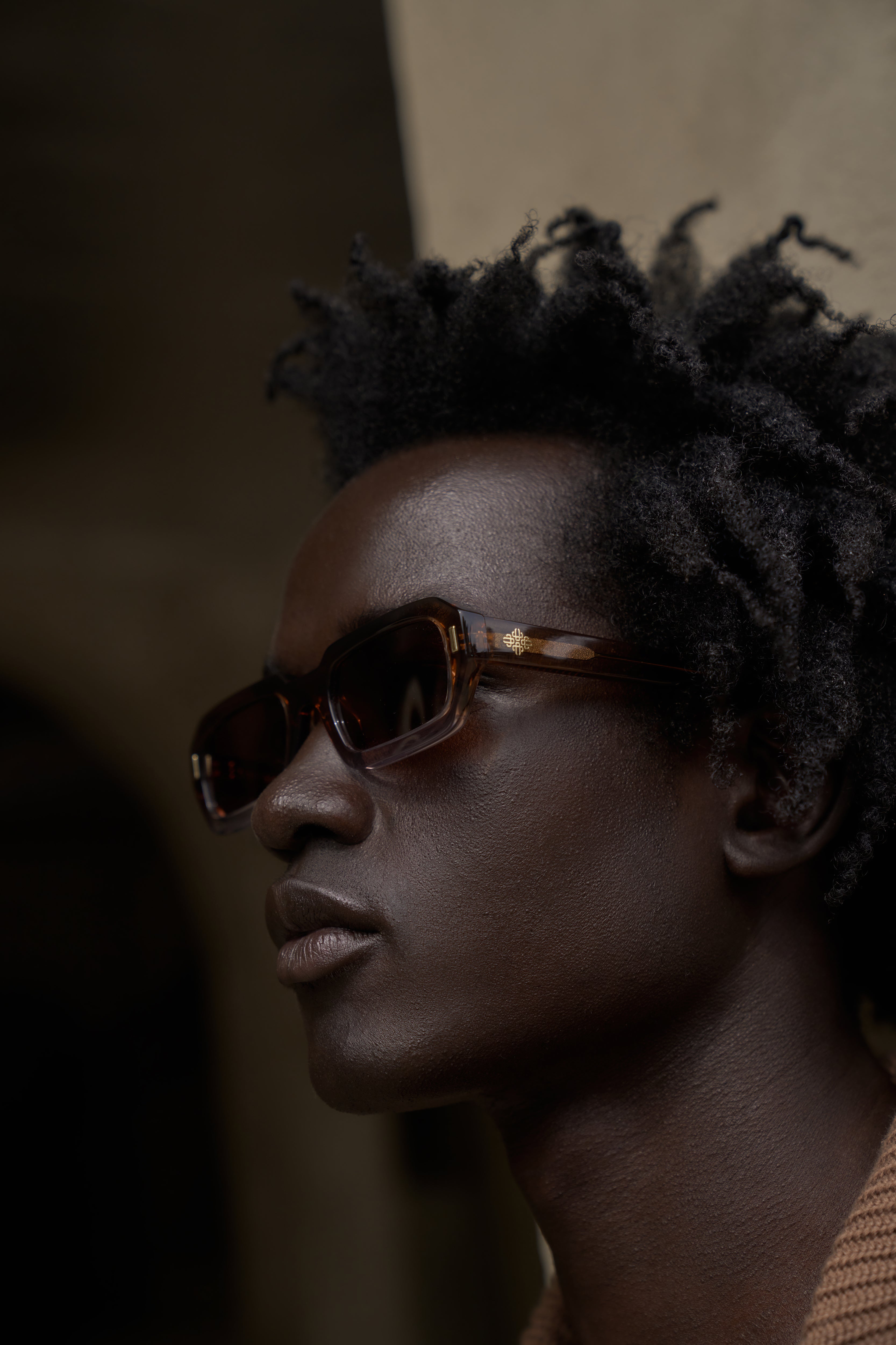 EMBLEM SUNGLASSES - BROWN
