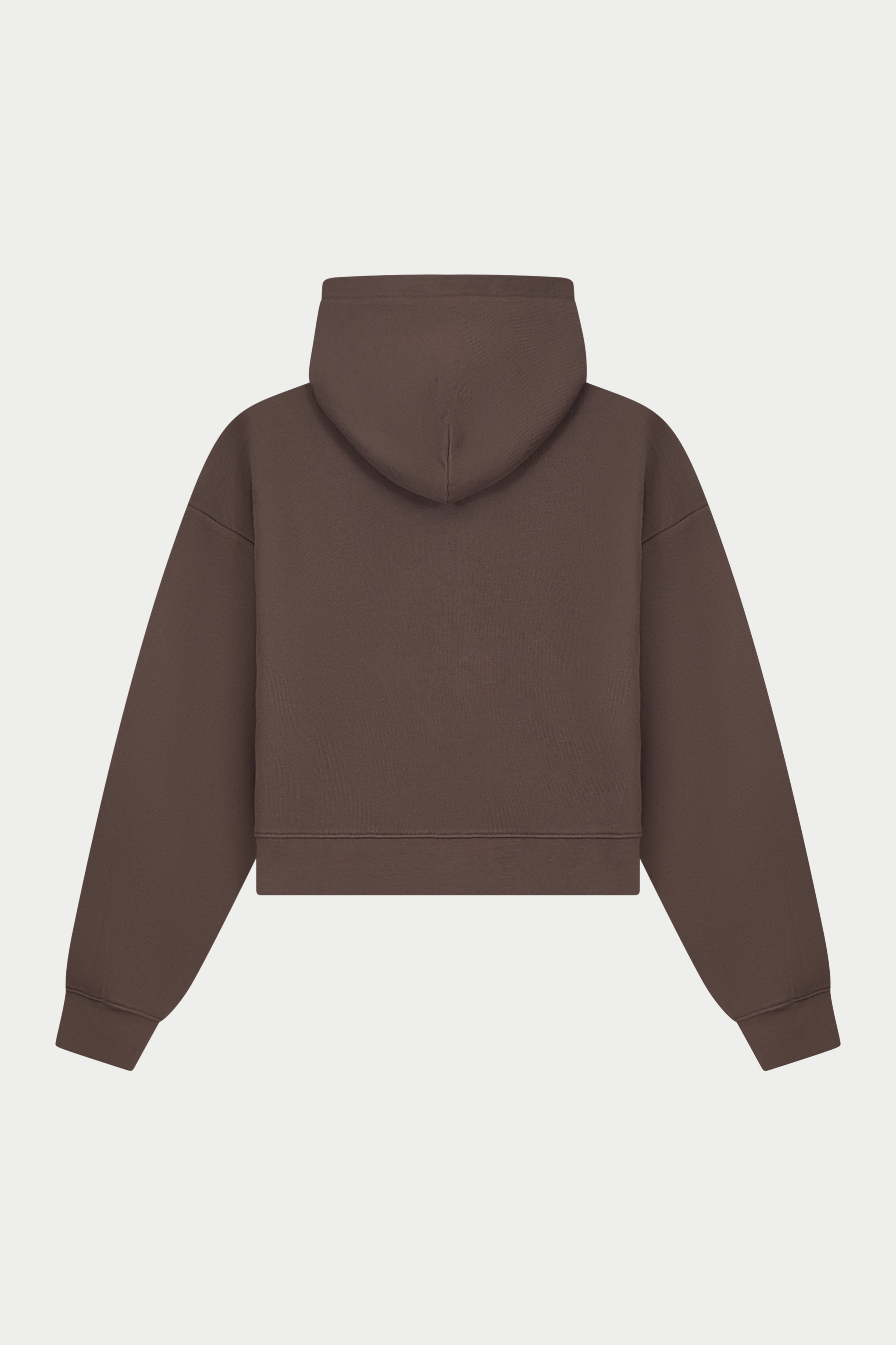 CTRE APPLIQUE ZIP THROUGH HOODIE - BROWN