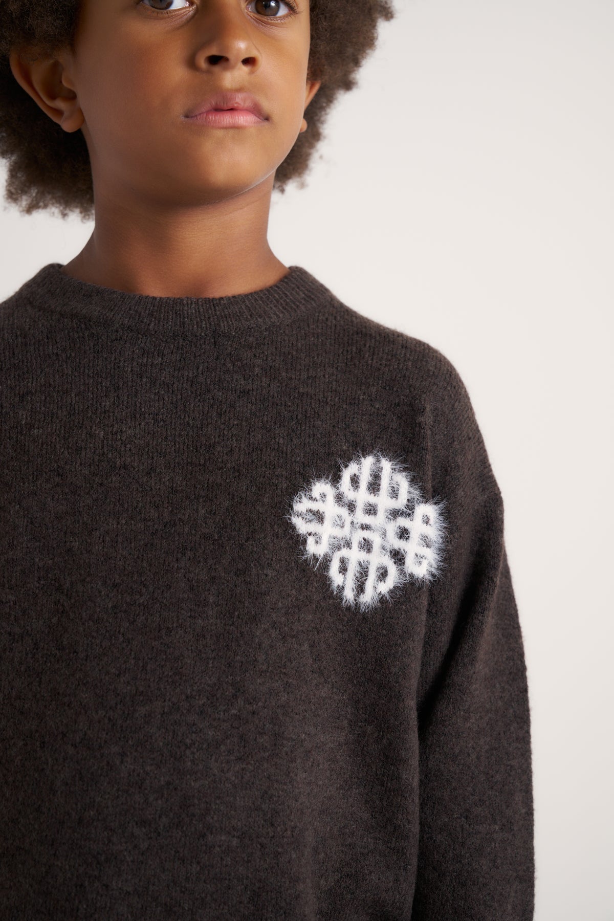 JUNIOR EMBLEM FLUFFY KNIT CREW - BROWN
