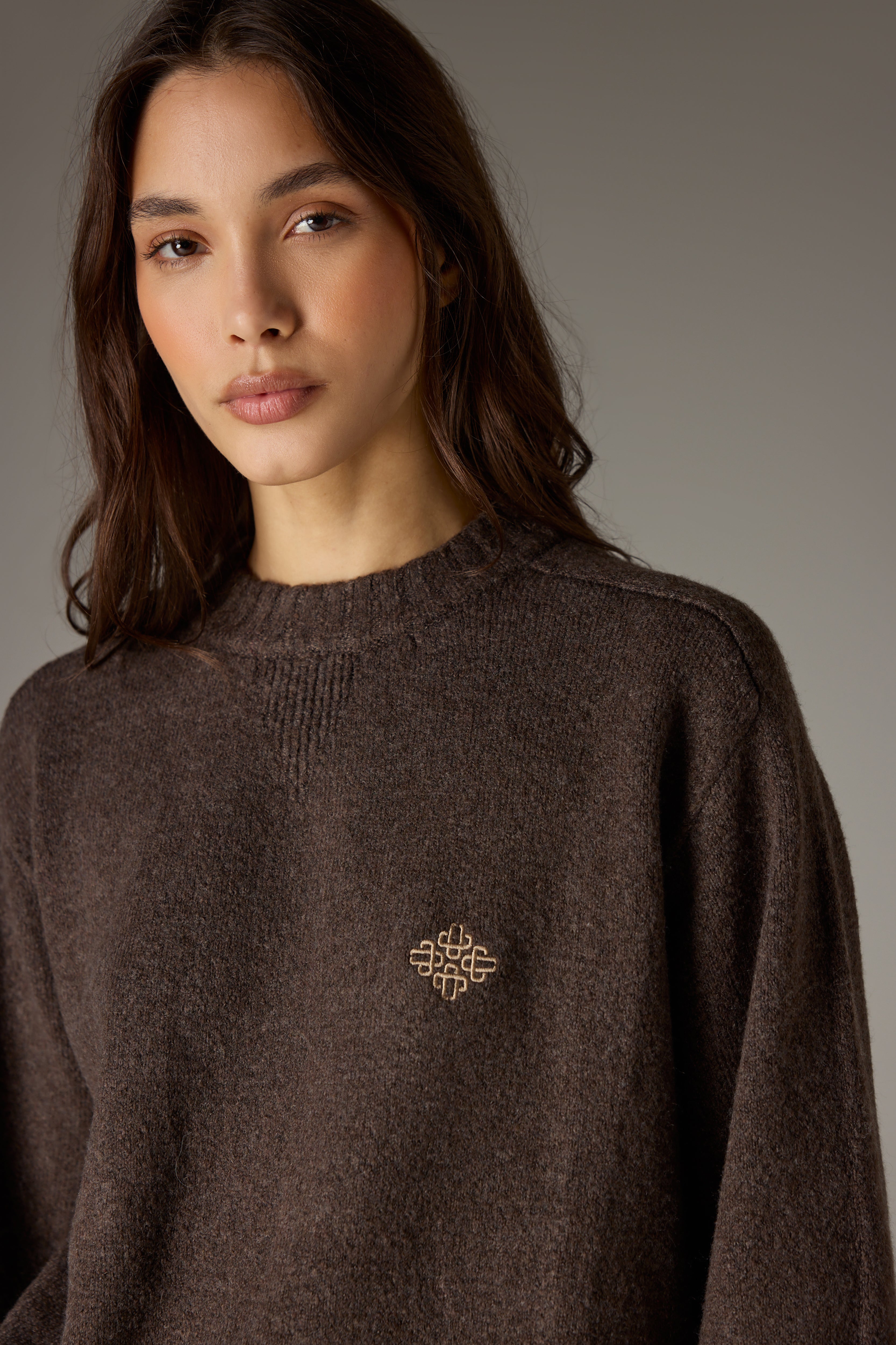 FLUFFY KNIT EMBLEM EMBROIDERED CREW - BROWN