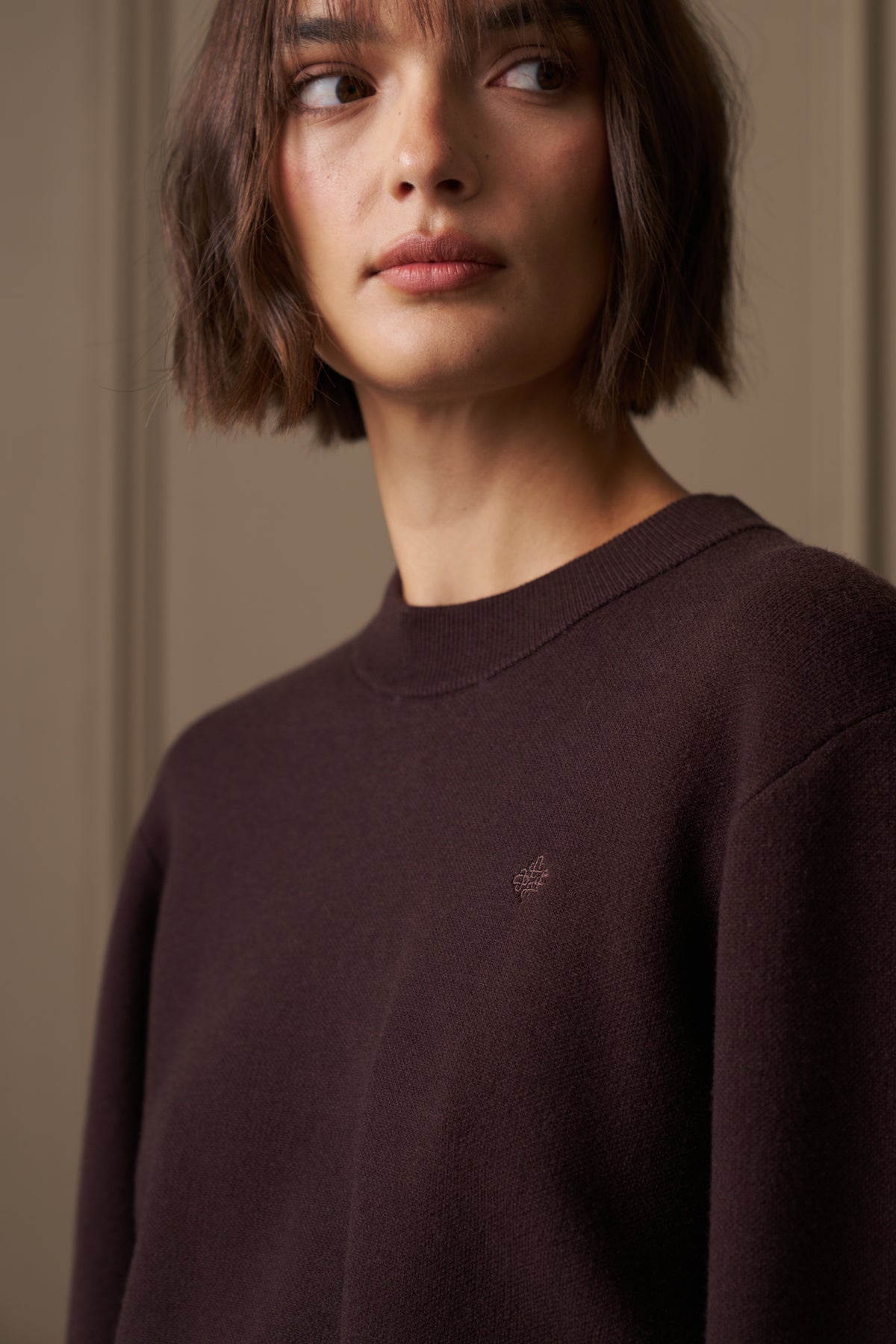 COMPACT KNIT CREW - BROWN